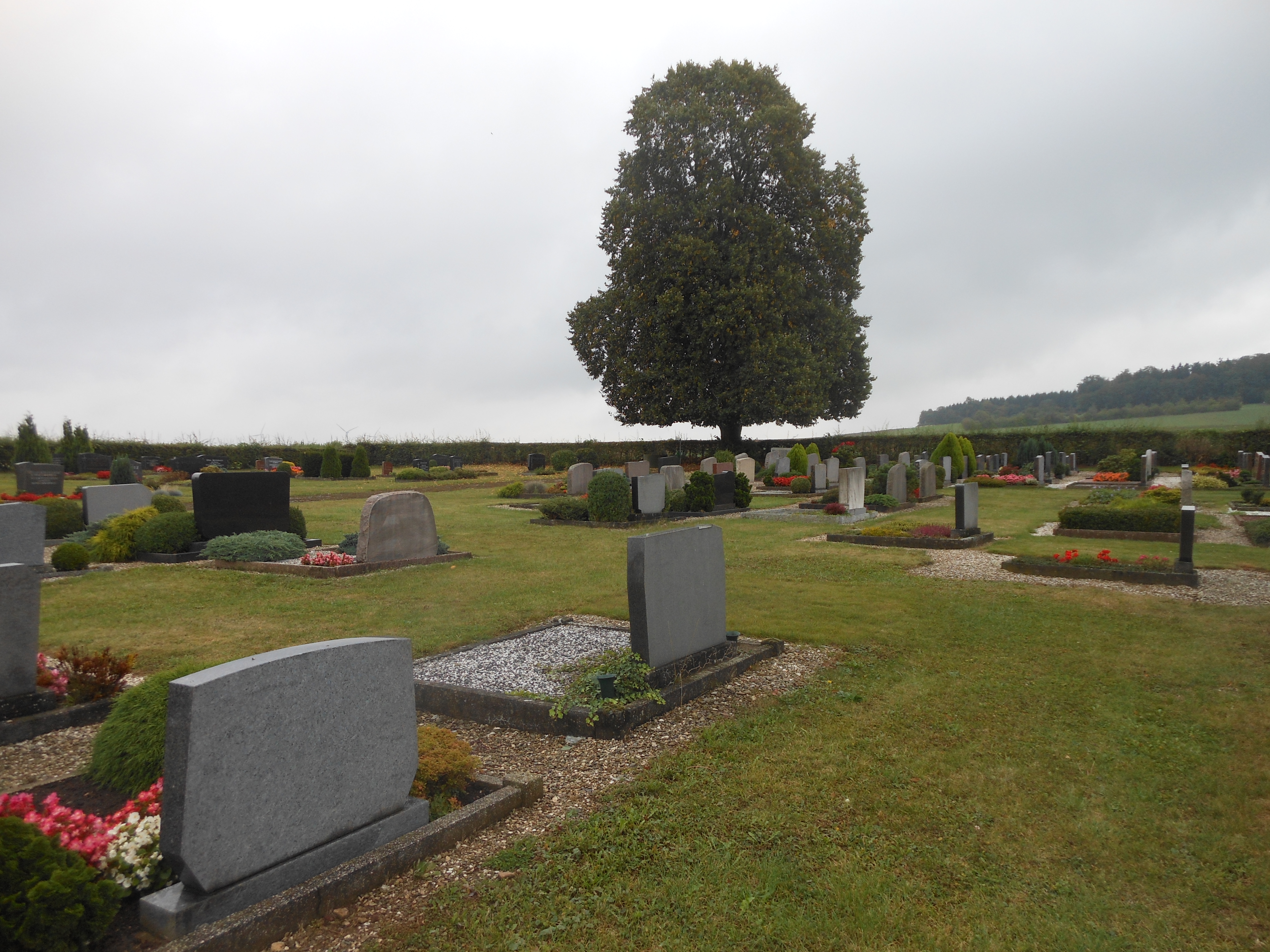Friedhof Sehlem